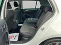Volkswagen Golf 1.0 TSI 1150pk R-Line Black & White edition Wit - thumbnail 13