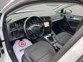 Volkswagen Golf 1.0 TSI 1150pk R-Line Black & White edition Wit - thumbnail 11