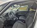 Renault Scenic Scénic Energy TCe 115 Zen Weiß - thumbnail 5