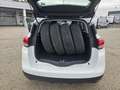 Renault Scenic Scénic Energy TCe 115 Zen Weiß - thumbnail 9