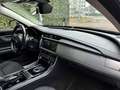Jaguar XF 2.0 d  Pure BERLINA AUTOMATICA TELECAMERA IVA ESP Grau - thumbnail 25