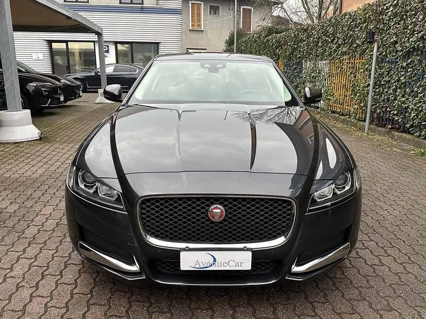Jaguar XF 2.0 d Pure BERLINA AUTOMATICA TELECAMERA IVA ESP Grigio - 2