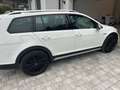 Volkswagen Golf Variant Golf Variant Alltrack BMT 2,0 TDI 4Motion Alltrack Weiß - thumbnail 3