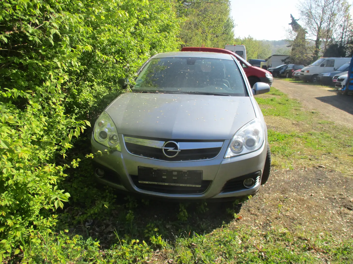 Opel Signum Edition Grau - 2