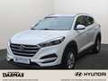 Hyundai TUCSON Tucson Classic 1.Hand Allwetterreifen Carplay Wit - thumbnail 1