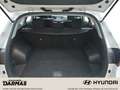 Hyundai TUCSON Tucson Classic 1.Hand Allwetterreifen Carplay Wit - thumbnail 16