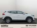 Hyundai TUCSON Tucson Classic 1.Hand Allwetterreifen Carplay Wit - thumbnail 5