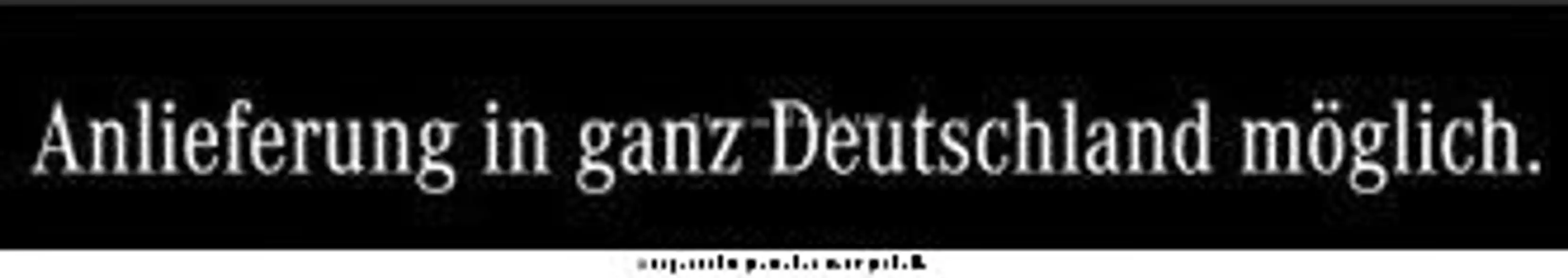 Mercedes-Benz E 300 de 4M T AMG AHK DISTRO DIGILIGHT KEYLESS — photo 17
