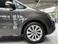 SEAT Alhambra Style Autom. PDC SHZ AHK 7-Sitzer Brown - thumbnail 5