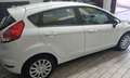 Ford Fiesta 3p 1.0 Titanium 80cv - thumbnail 5