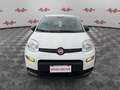 Fiat Panda Panda 1.0 FireFly Hybrid, PRONTA CONSEGNA! Bianco - thumbnail 2