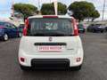 Fiat Panda Panda 1.0 FireFly Hybrid, PRONTA CONSEGNA! Bianco - thumbnail 6