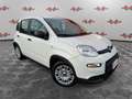 Fiat Panda Panda 1.0 FireFly Hybrid, PRONTA CONSEGNA! Bianco - thumbnail 1