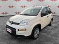 Fiat Panda Panda 1.0 FireFly Hybrid, PRONTA CONSEGNA! Bianco - thumbnail 3