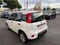 Fiat Panda Panda 1.0 FireFly Hybrid, PRONTA CONSEGNA! Bianco - thumbnail 7