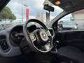 Fiat Panda Panda 1.0 FireFly Hybrid, PRONTA CONSEGNA! Bianco - thumbnail 11
