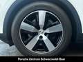 Porsche Cayenne E-Hybrid BOSE Luftfederung LED-Matrix Weiß - thumbnail 30