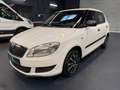 Skoda Fabia Cool Edition Klima 1.Hand Garantie Blanc - thumbnail 1