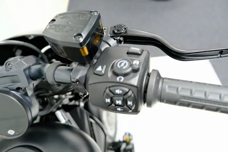 Harley-Davidson NIGHTSTER SPECIAL 975 - foto 7