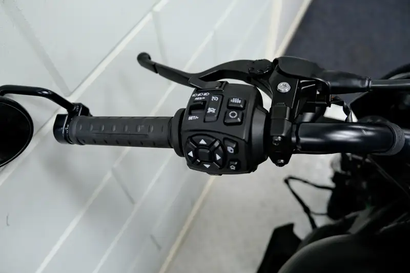 Harley-Davidson NIGHTSTER SPECIAL 975 - foto 8