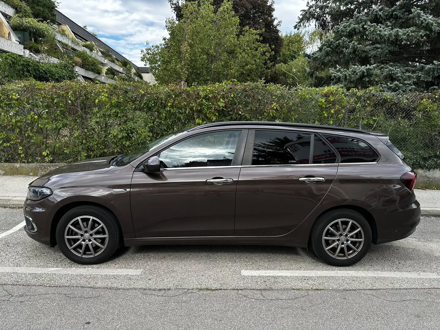 Fiat Tipo Tipo 1,6 MultiJet II 120 Eco-Business DDCT Eco-Business Braun - 2