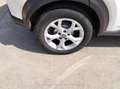 Nissan Juke DIG-T 84 kW (114 CV) 6M/T Acenta - thumbnail 14