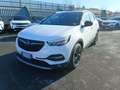 Opel Grandland X 1.2 Turbo 12V 130 CV Start&Stop  DESIGN LINE con Bianco - thumbnail 1