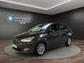 Ford C-Max 2.0 TDCi Titanium AHK+KAMERA+PDC+LED+NAVI Klima Gris - thumbnail 1