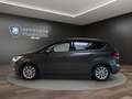 Ford C-Max 2.0 TDCi Titanium AHK+KAMERA+PDC+LED+NAVI Klima Gris - thumbnail 8
