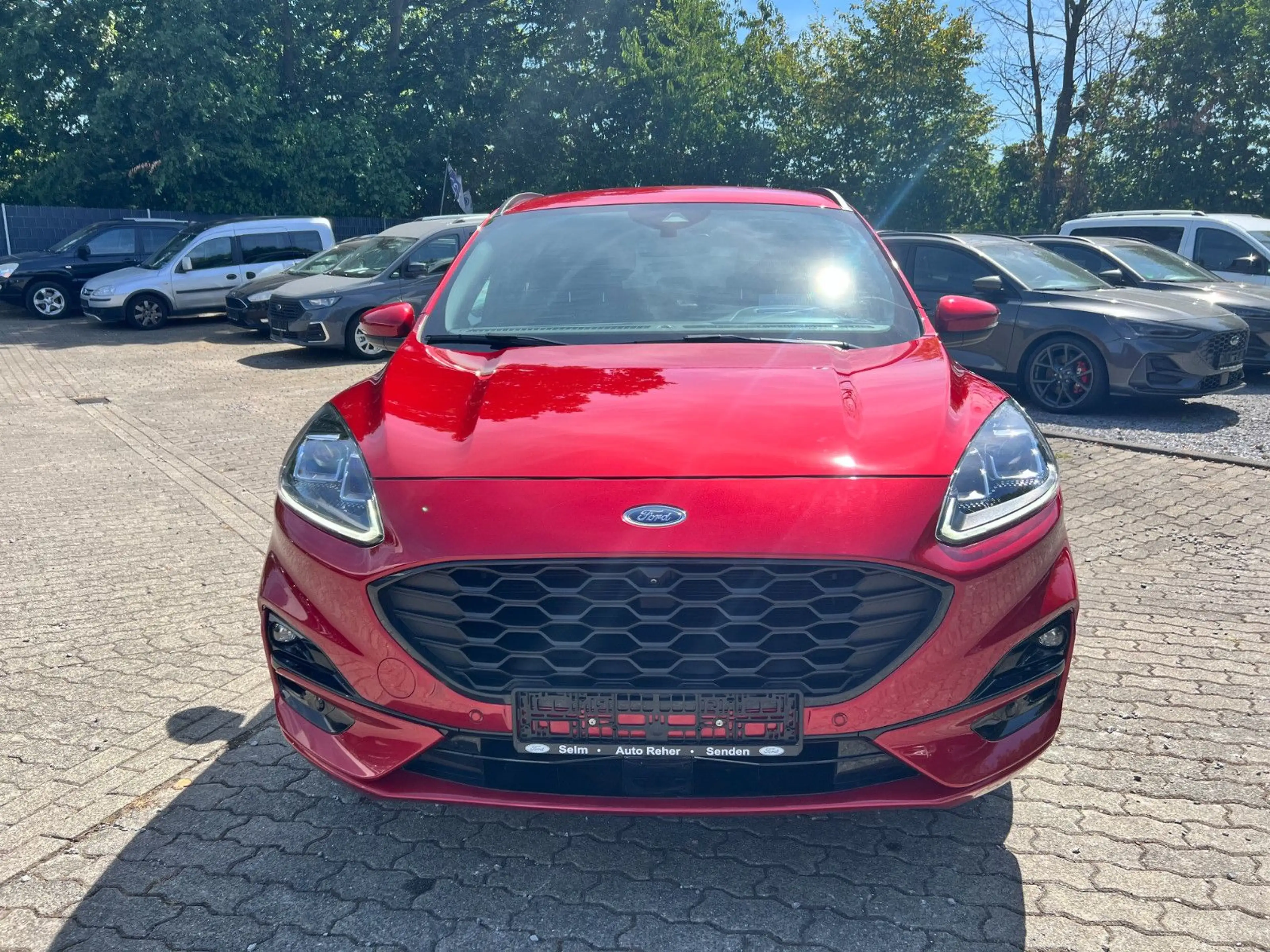 Ford Kuga ST-Line X FHEV AHK BILS ACC LED — photo 2