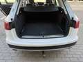Audi A6 allroad quattro 3.0TDI S-Tronic 160kW Wit - thumbnail 19