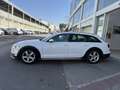 Audi A6 allroad quattro 3.0TDI S-Tronic 160kW Wit - thumbnail 5