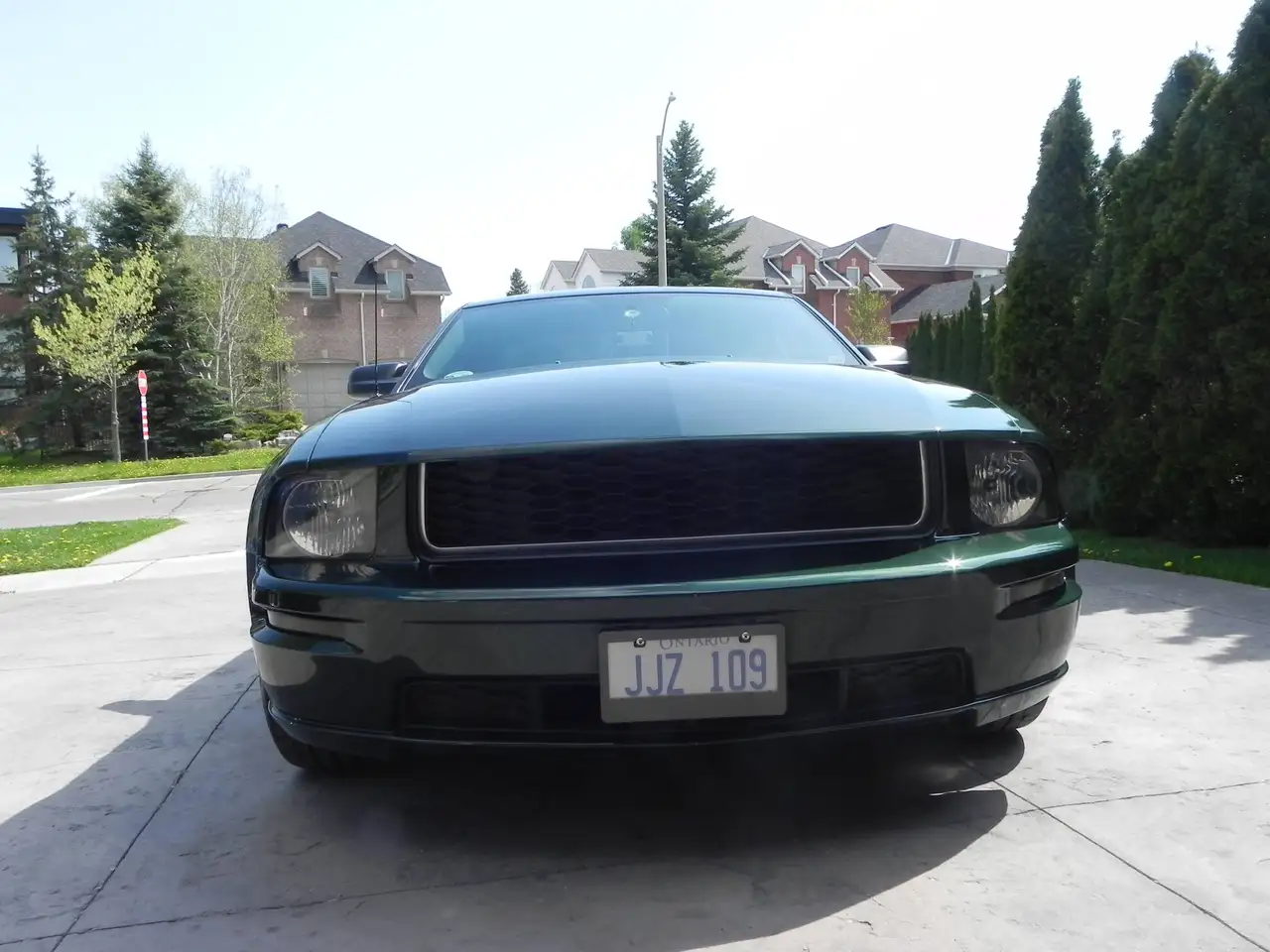 Ford Mustang fotografie Ford Mustang