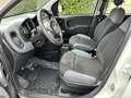 Fiat Panda turbo benzina 4x4 85cv Fatturabile MOTORE NUOVO - thumbnail 6