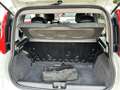 Fiat Panda turbo benzina 4x4 85cv Fatturabile MOTORE NUOVO - thumbnail 9