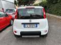 Fiat Panda turbo benzina 4x4 85cv Fatturabile MOTORE NUOVO - thumbnail 4
