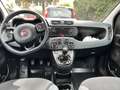 Fiat Panda turbo benzina 4x4 85cv Fatturabile MOTORE NUOVO - thumbnail 7