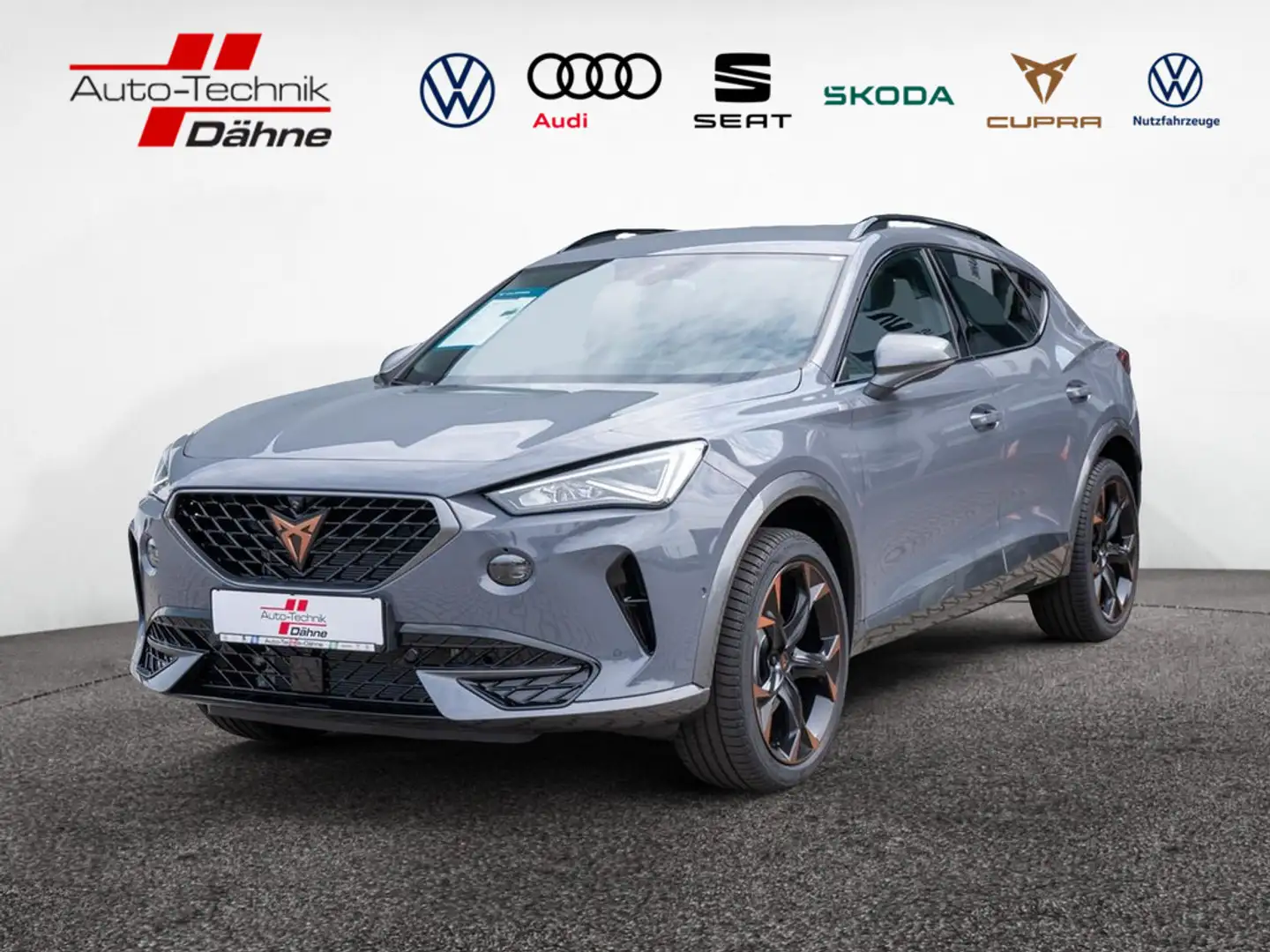 CUPRA Formentor 1.5 TSI KAMERA NAVI ACC LED 360° Grau - 1