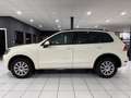 Volkswagen Touareg 3.0TDI V6 *PANO*LUFT*XEN*R-CAM*DYNA*AHK* Weiß - thumbnail 8