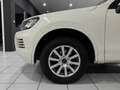 Volkswagen Touareg 3.0TDI V6 *PANO*LUFT*XEN*R-CAM*DYNA*AHK* Weiß - thumbnail 10