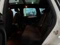 Volkswagen Touareg 3.0TDI V6 *PANO*LUFT*XEN*R-CAM*DYNA*AHK* Weiß - thumbnail 29