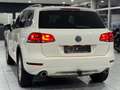 Volkswagen Touareg 3.0TDI V6 *PANO*LUFT*XEN*R-CAM*DYNA*AHK* Weiß - thumbnail 7