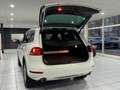 Volkswagen Touareg 3.0TDI V6 *PANO*LUFT*XEN*R-CAM*DYNA*AHK* Weiß - thumbnail 11