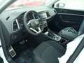 SEAT Ateca Ateca 2.0 tdi FR 150cv dsg Bianco - thumbnail 7
