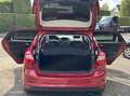 Ford Focus 1.6 EcoBoost Titanium cruise lmv super onderhoud Rouge - thumbnail 13