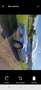 Mercedes-Benz SL 300 - thumbnail 2