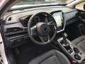 Subaru Crosstrek 2.0i CVT e-BOXER Premium "Ab sofort Verfügbar" Weiß - thumbnail 18