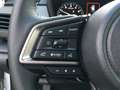 Subaru Crosstrek 2.0i CVT e-BOXER Premium "Ab sofort Verfügbar" Weiß - thumbnail 31