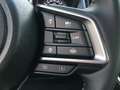 Subaru Crosstrek 2.0i CVT e-BOXER Premium "Ab sofort Verfügbar" Weiß - thumbnail 32
