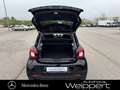smart forFour EQ forfour NAVI 22 kW-BOARDLADER PANO KAM 4xSZHZ Schwarz - thumbnail 9